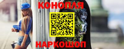 спиды Кингисепп