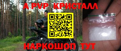 спиды Кингисепп